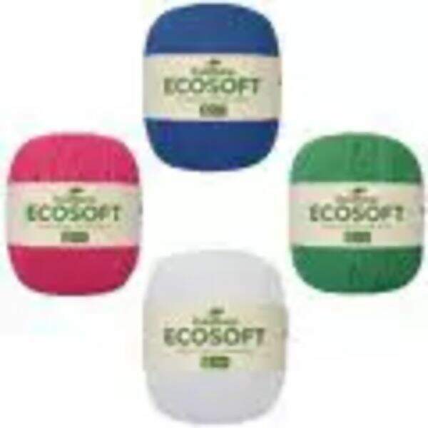 ecosoft (1)